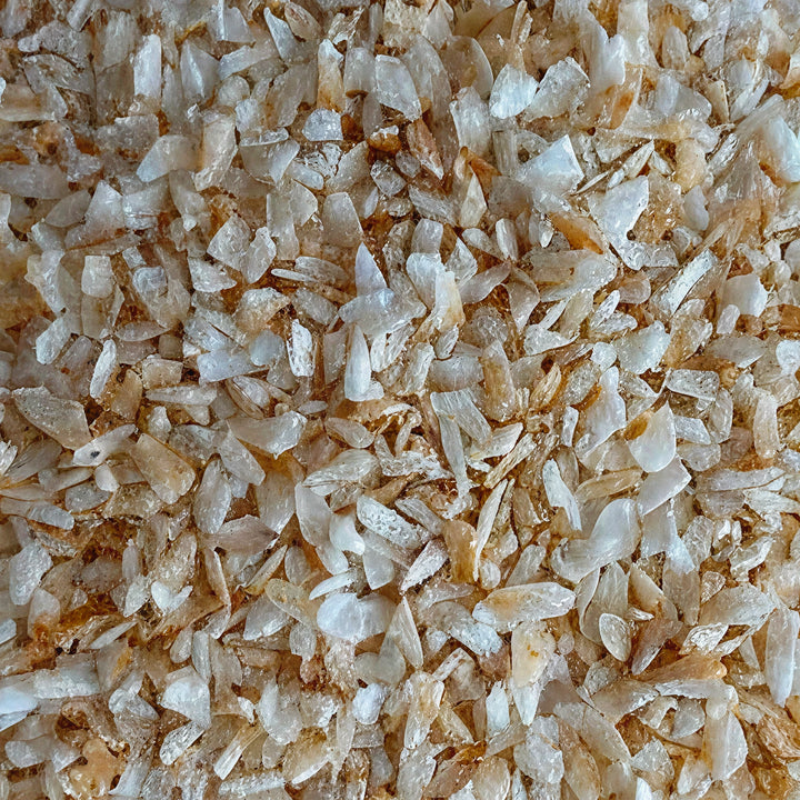 Organic Toasted Sweetened Salted Coconut Chiplets (Medium) - 25 lb Carton